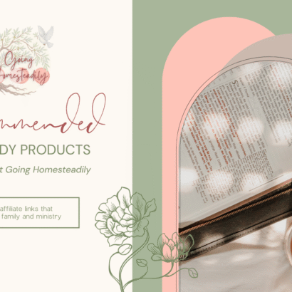Decorative Image for Bible Product Recommendations
