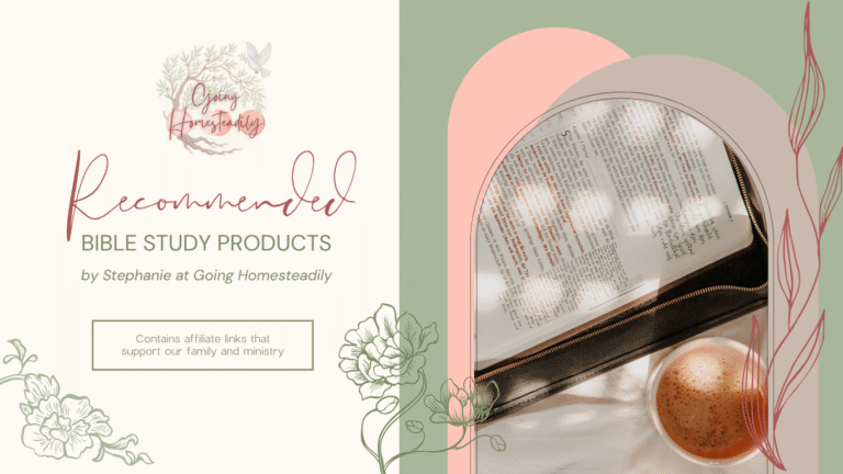 Decorative Image for Bible Product Recommendations