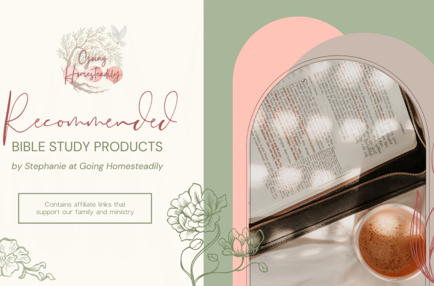 Decorative Image for Bible Product Recommendations