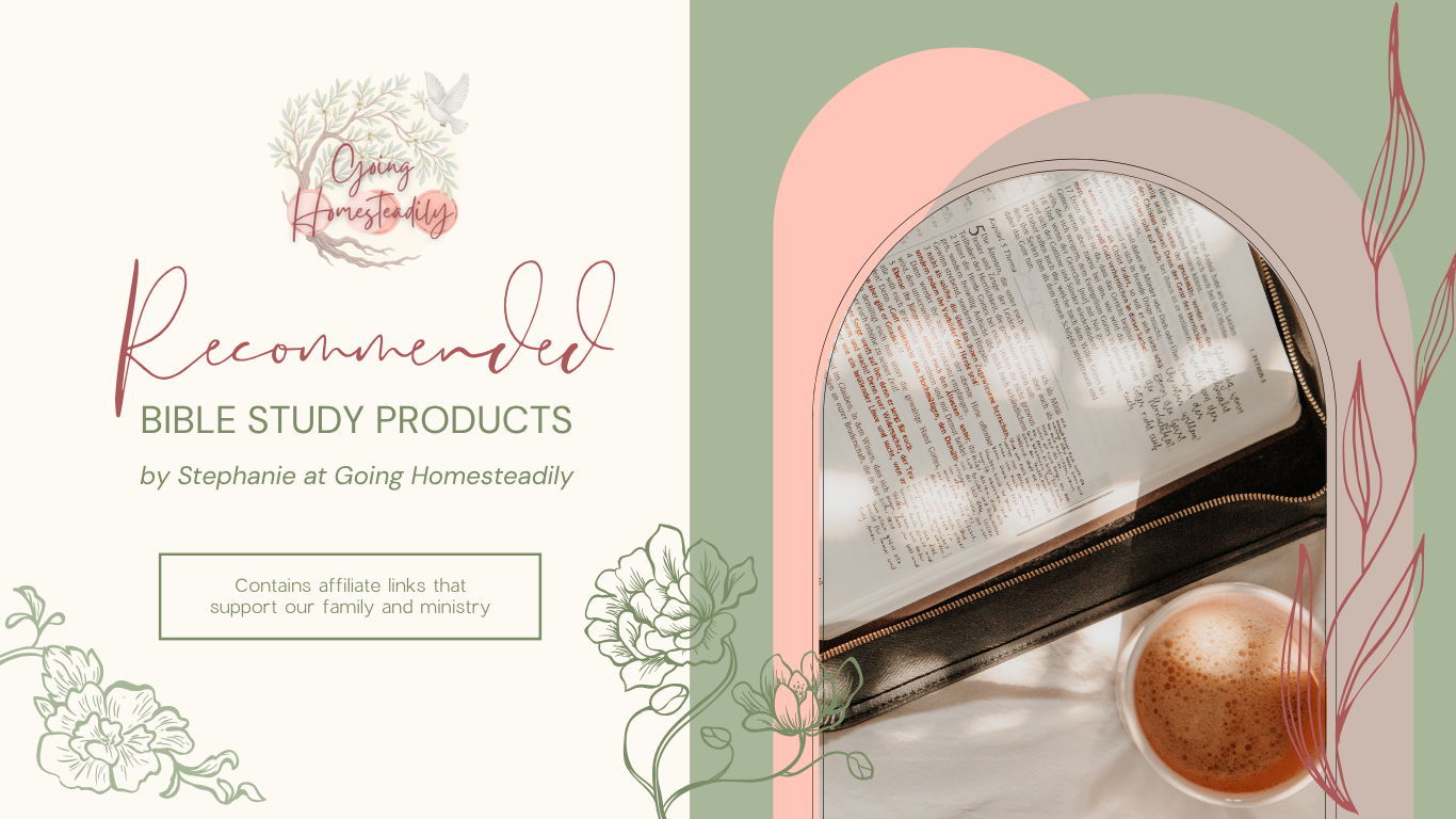 Decorative Image for Bible Product Recommendations