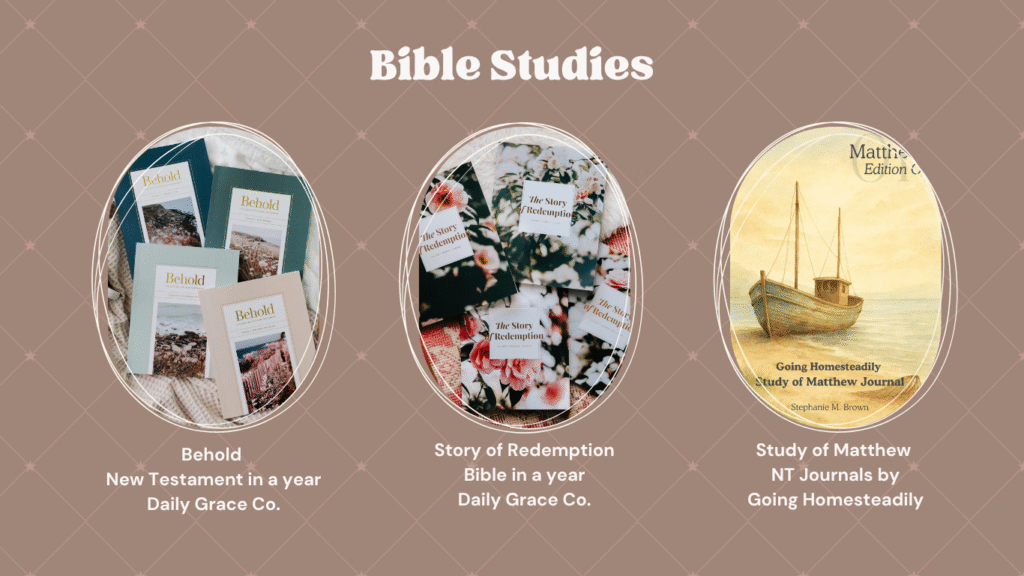 Decorative Image for Bible Product Recommendations - Bibles for Bible Studies