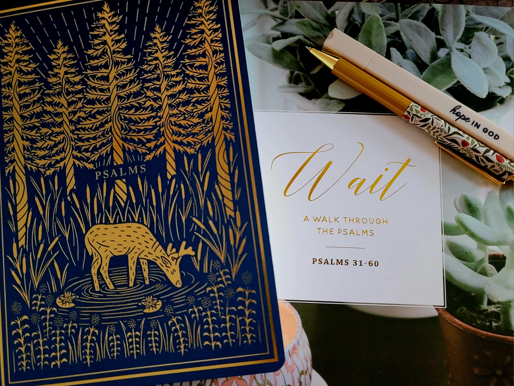 Bible Study - Wait, in Psalms