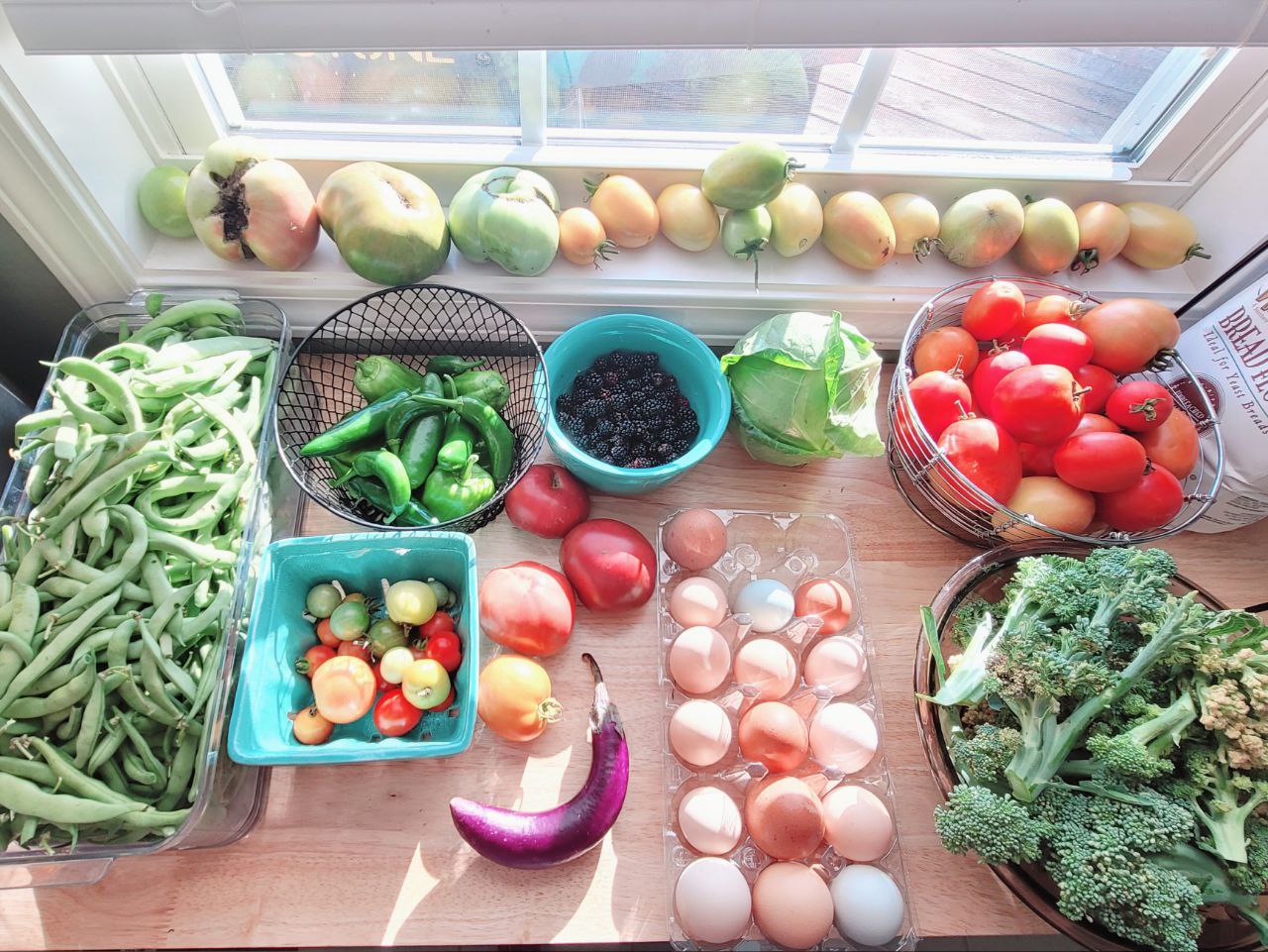 bounty of produce and eggs from the homestead