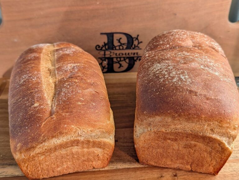sourdough sandwich bread uncut loaves