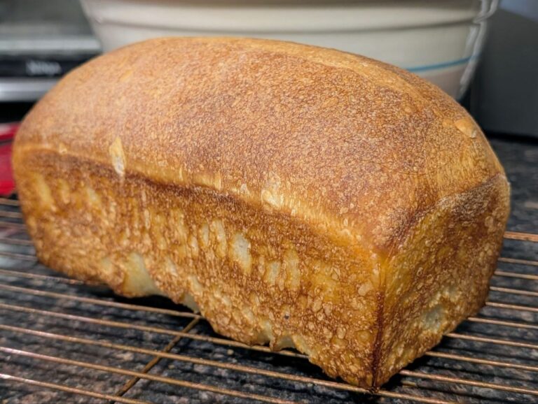 One loaf of freshly baked Farmhouse Sourdough Sandwich Bread